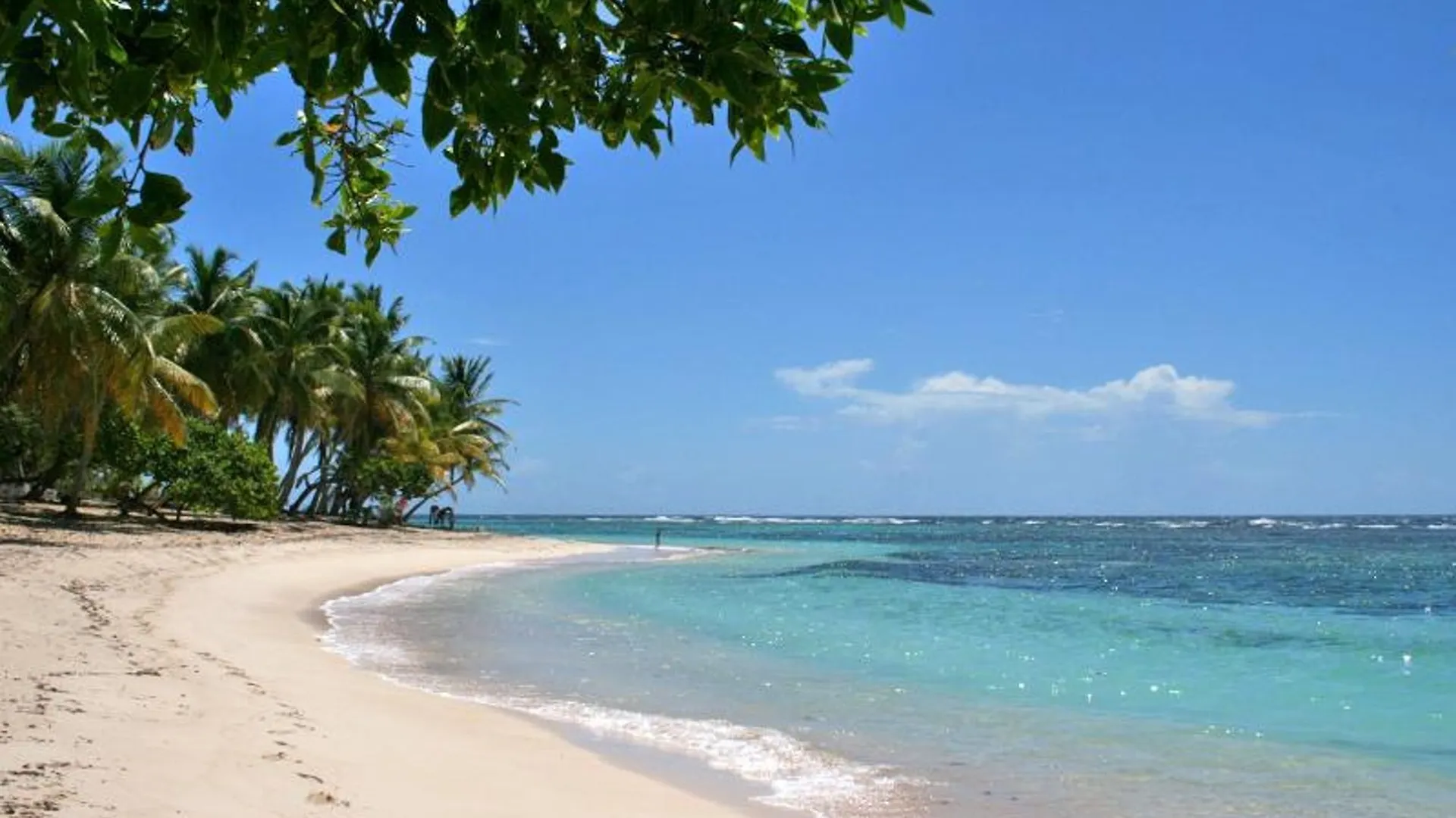 Enchanting Basse-Terre Bungalow Just 150 Metres From Petite Anse Beach Bouillante Guadeloupe