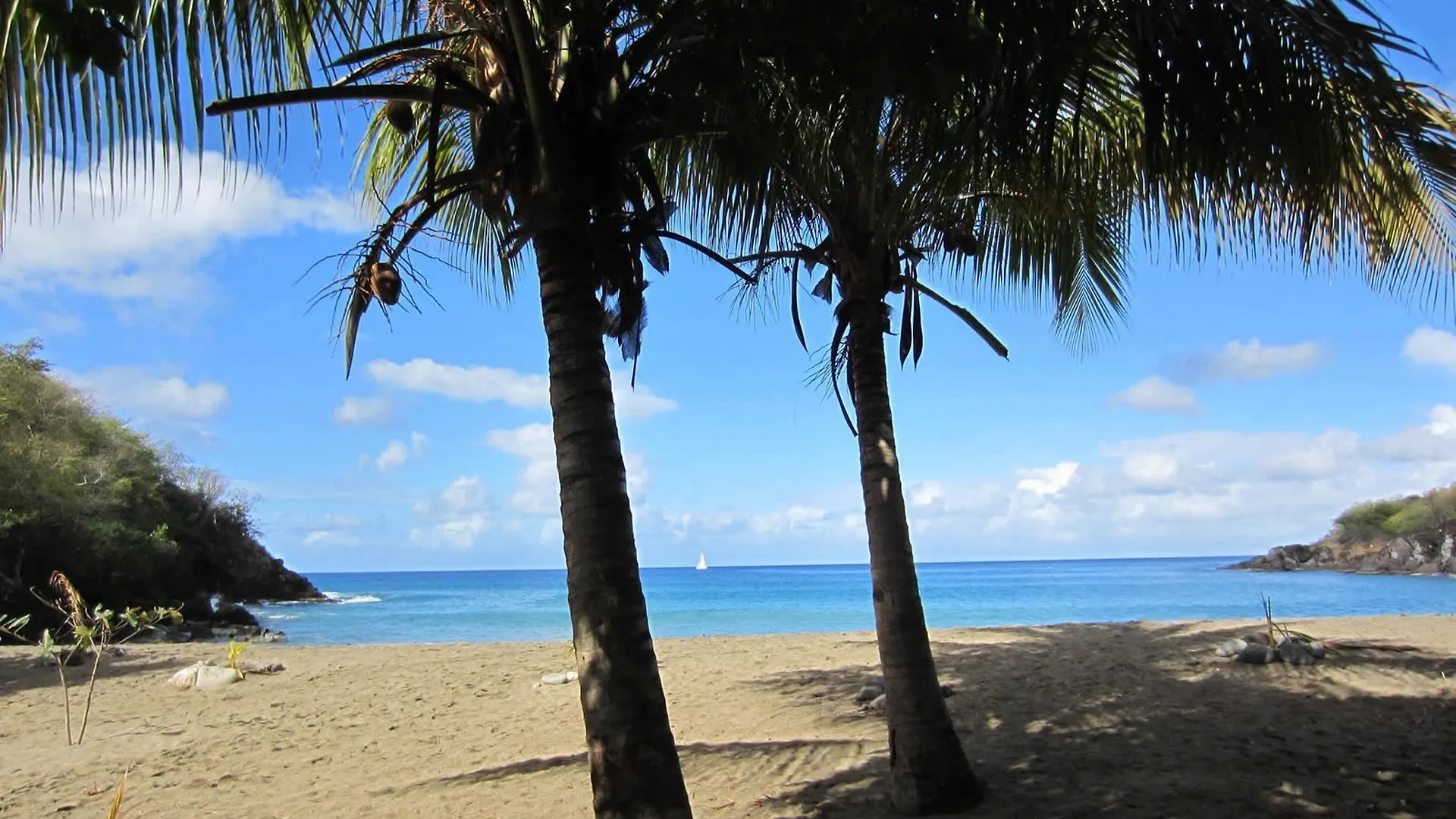 Apartment Enchanting Basse-Terre Bungalow Just 150 Metres From Petite Anse Beach Bouillante